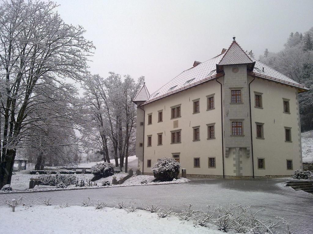 Lambergh Chateau & Hotel Dvorska Vas Exterior photo